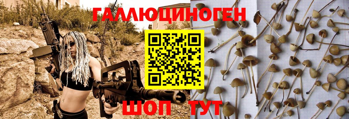 Псилоцибиновые грибы Psilocybine cubensis  Вход с VPN  Кизляр 